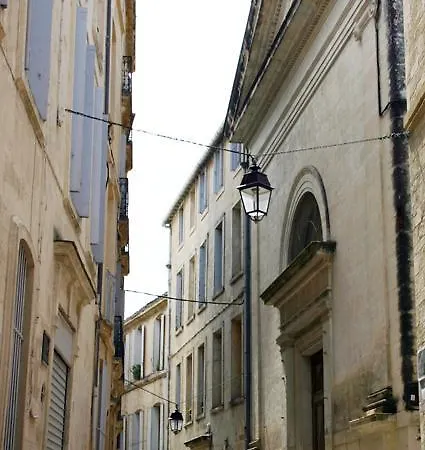 Nid'oiseau * Montpellier